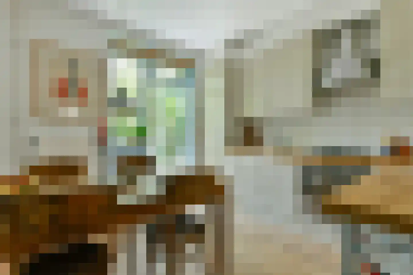Zwanenplein 5 Amsterdam thumbnail 9