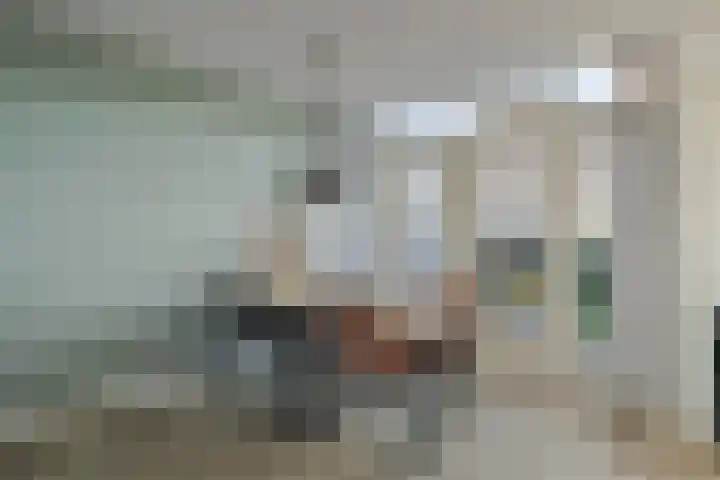 Zwanensingel 12 Bergschenhoek thumbnail 10