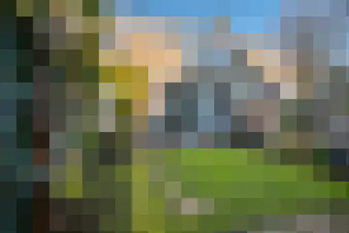 Zwanensingel 12 Bergschenhoek thumbnail 15