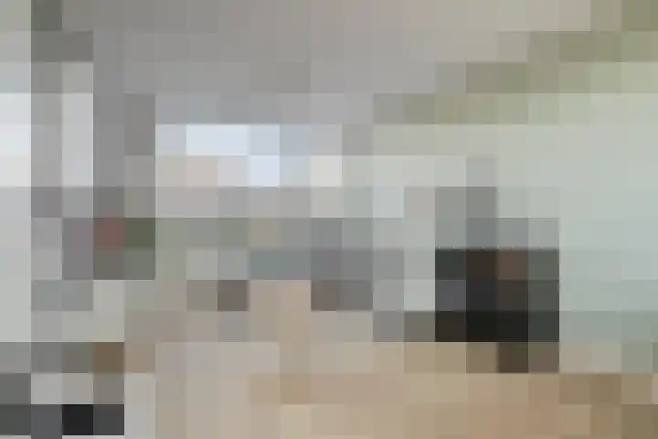 Zwanensingel 12 Bergschenhoek thumbnail 6