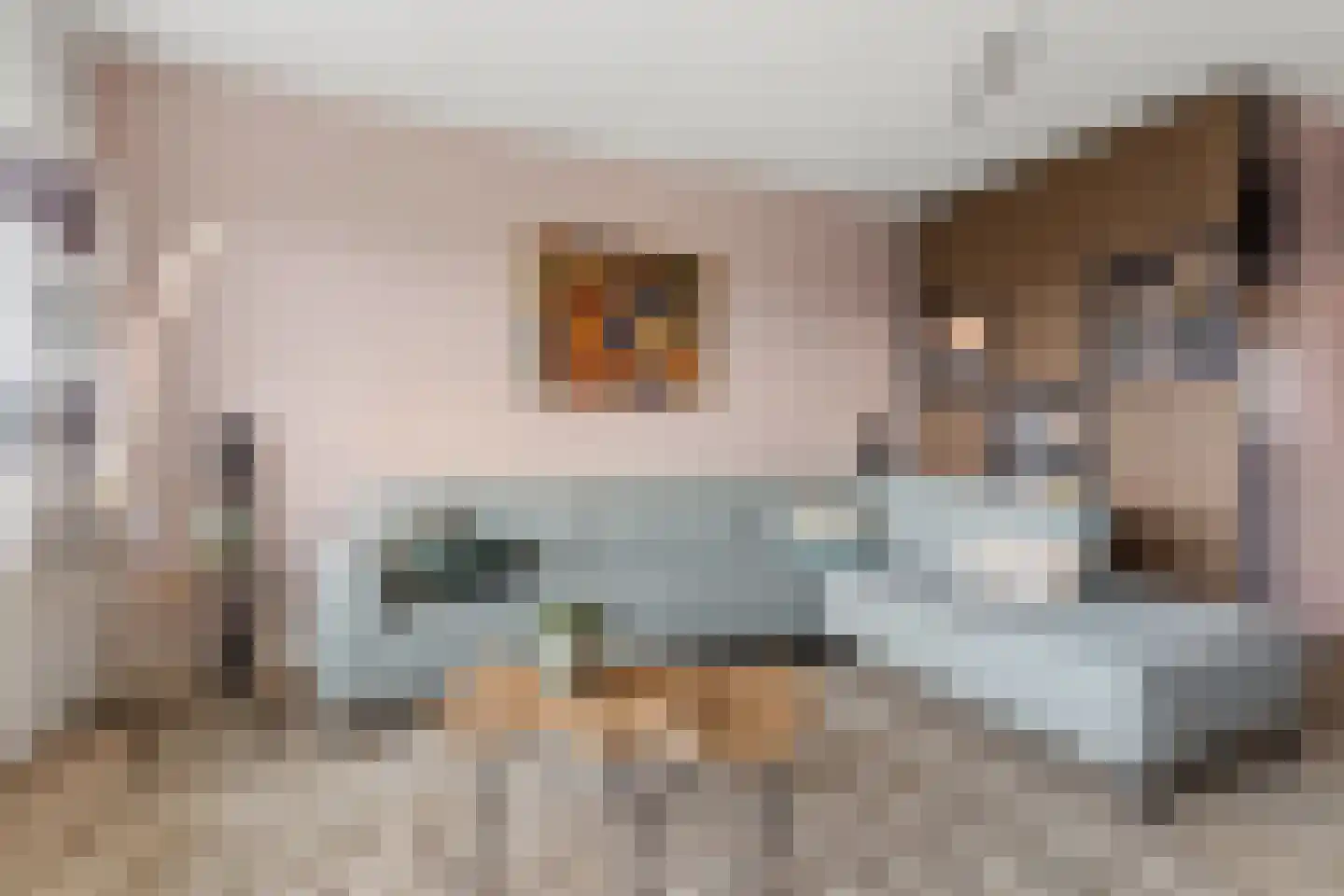 Zwanensingel 128 Velp thumbnail 12
