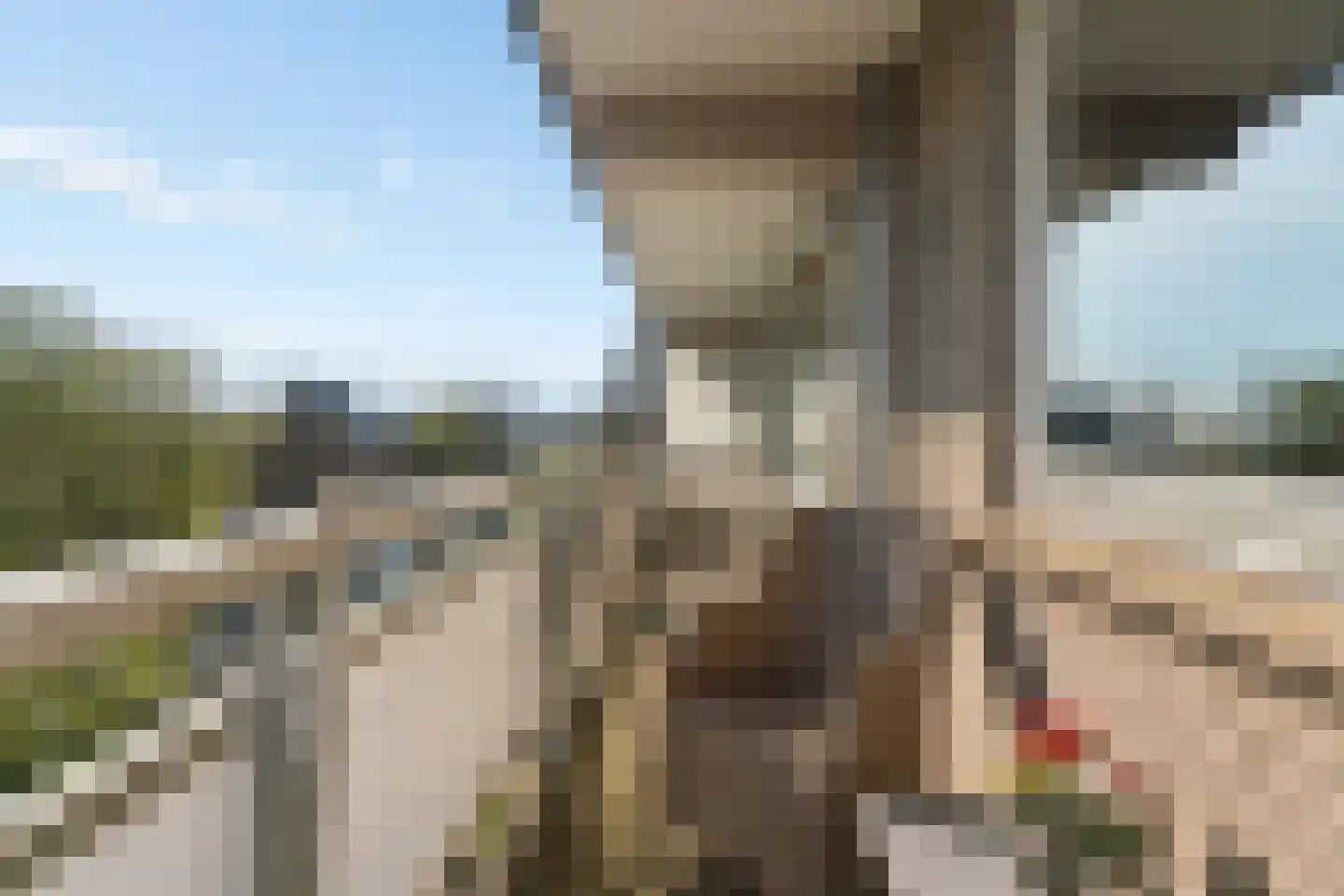 Zwanensingel 128 Velp thumbnail 16