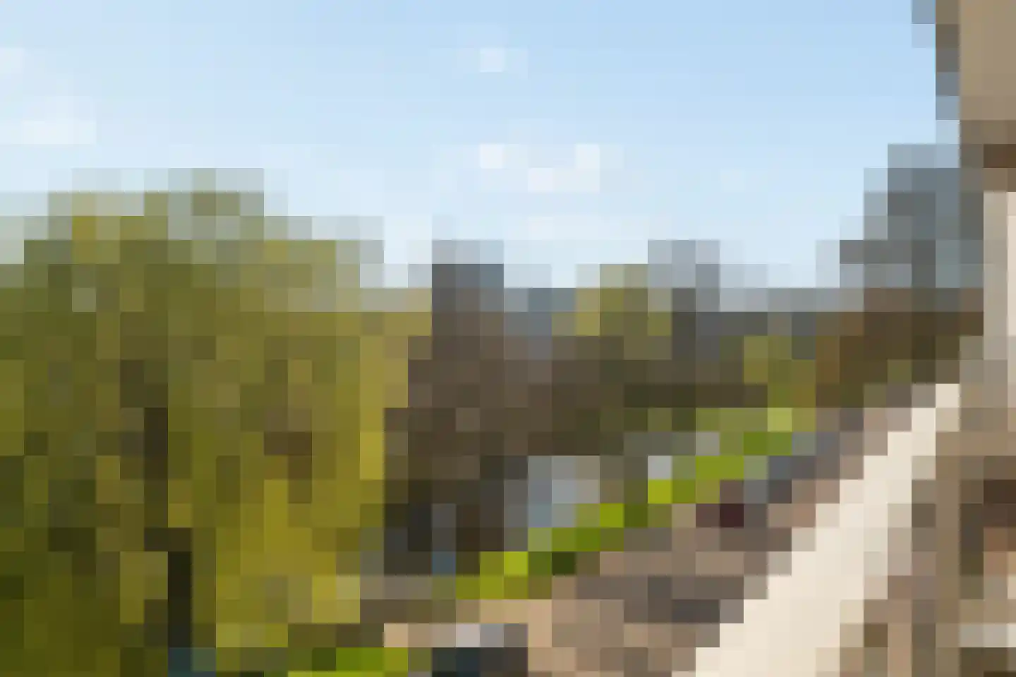 Zwanensingel 128 Velp thumbnail 17