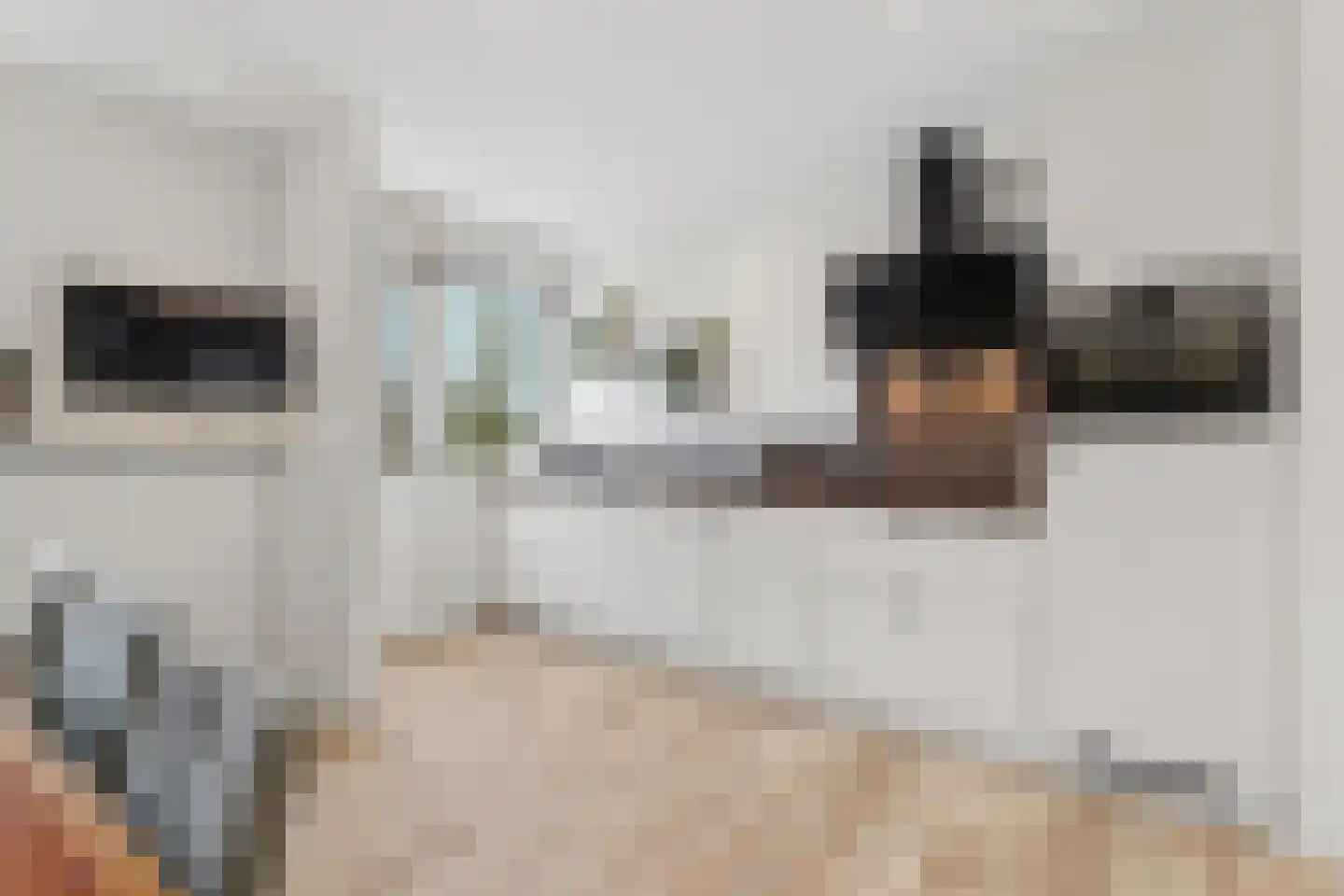 Zwanensingel 128 Velp thumbnail 20