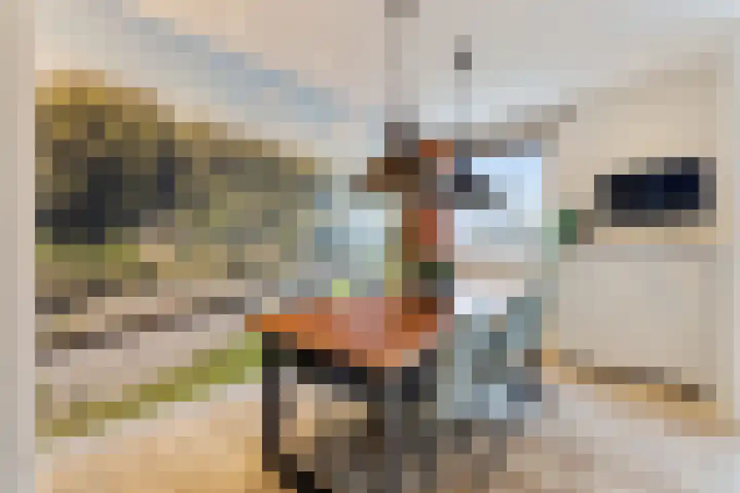 Zwanensingel 128 Velp thumbnail 21