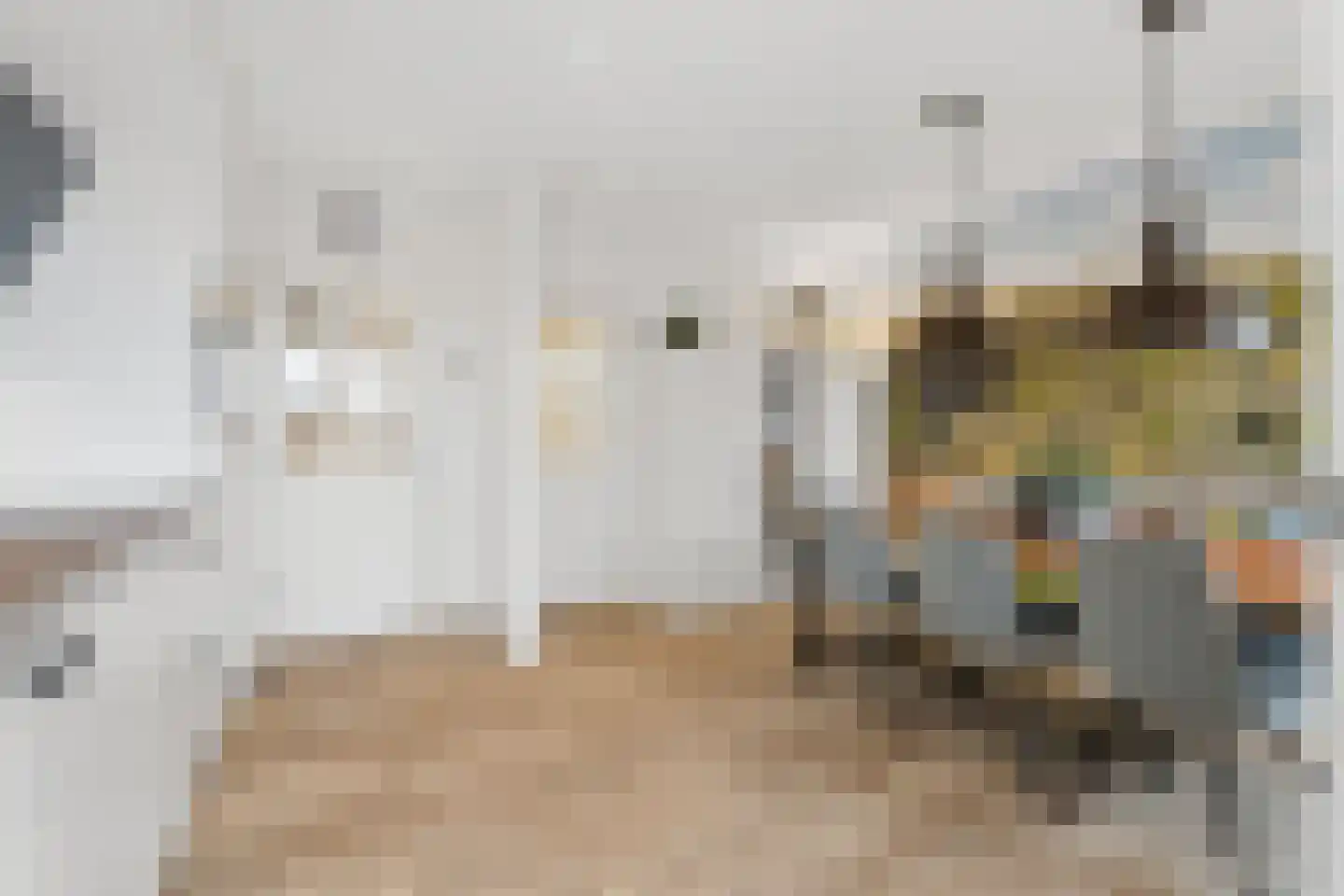 Zwanensingel 128 Velp thumbnail 23