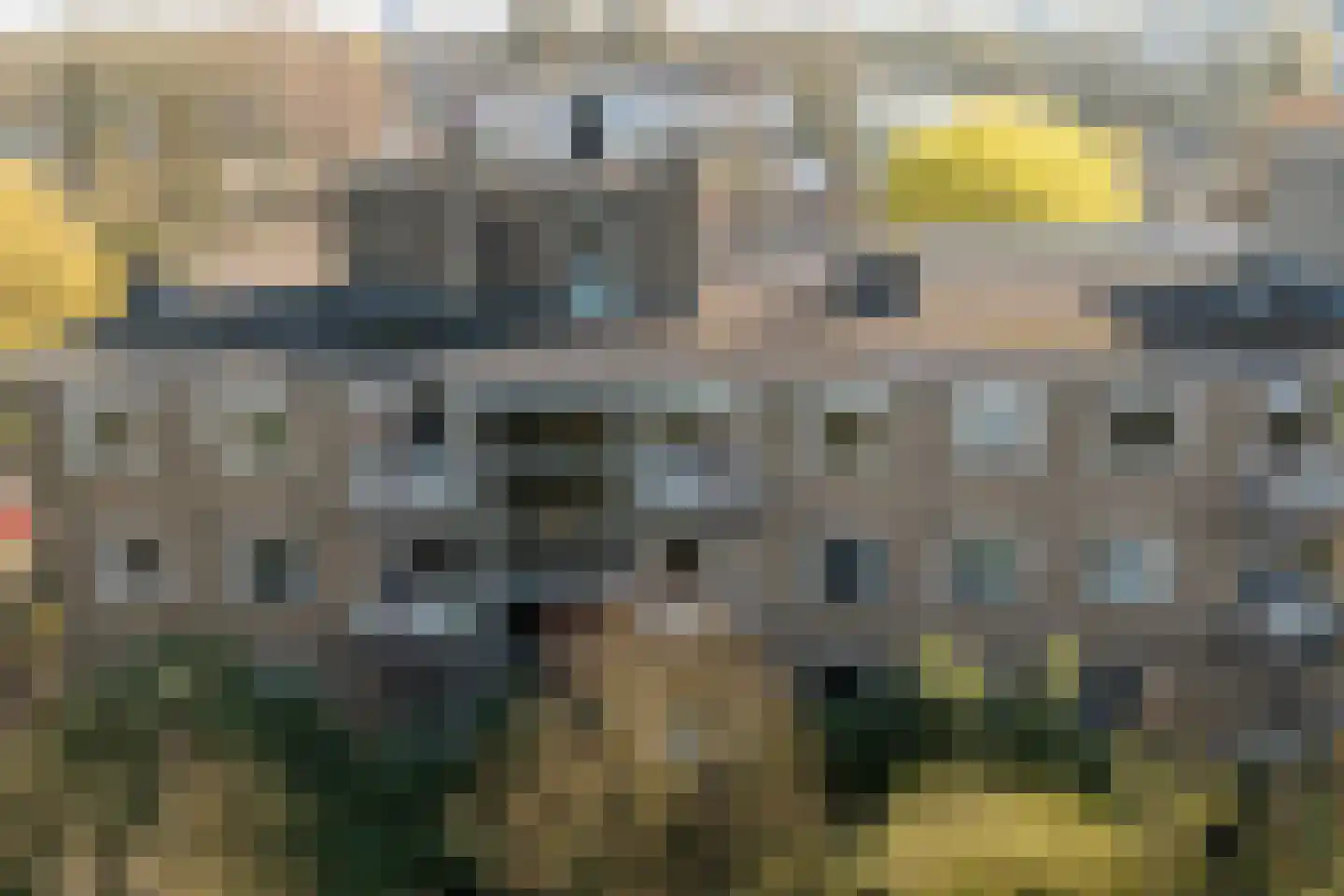 Zwanensingel 128 Velp thumbnail 25