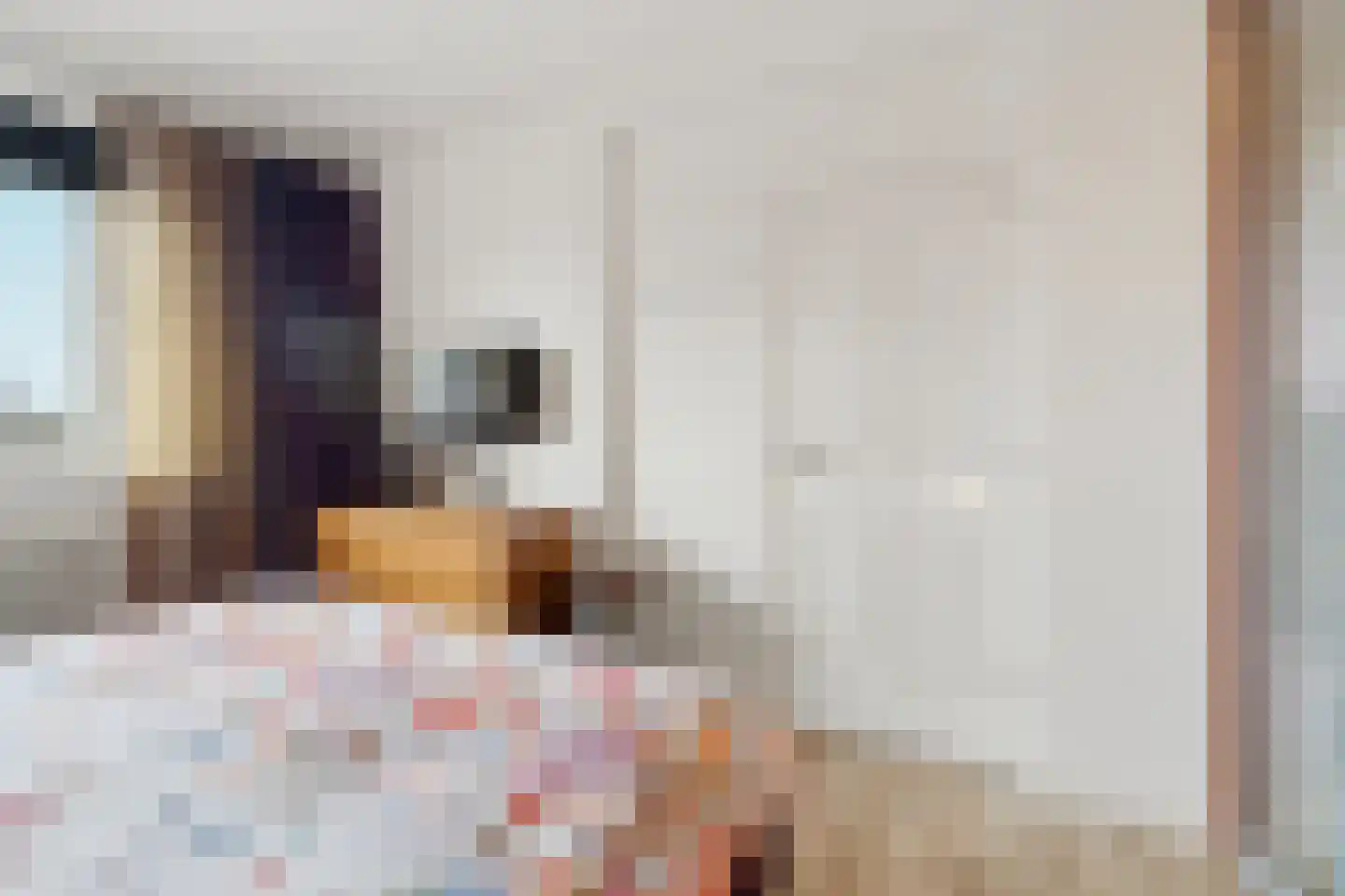 Zwanensingel 128 Velp thumbnail 27