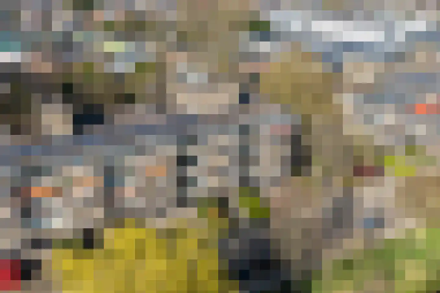Zwanensingel 128 Velp thumbnail 31