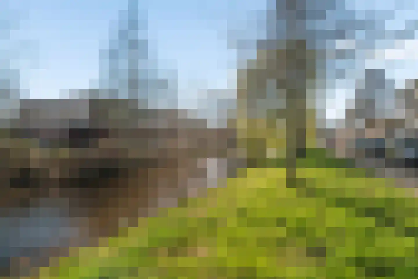 Zwanensingel 128 Velp thumbnail 33
