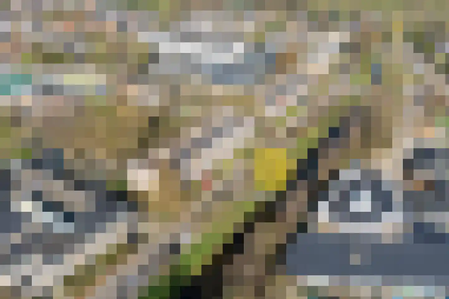 Zwanensingel 128 Velp thumbnail 36