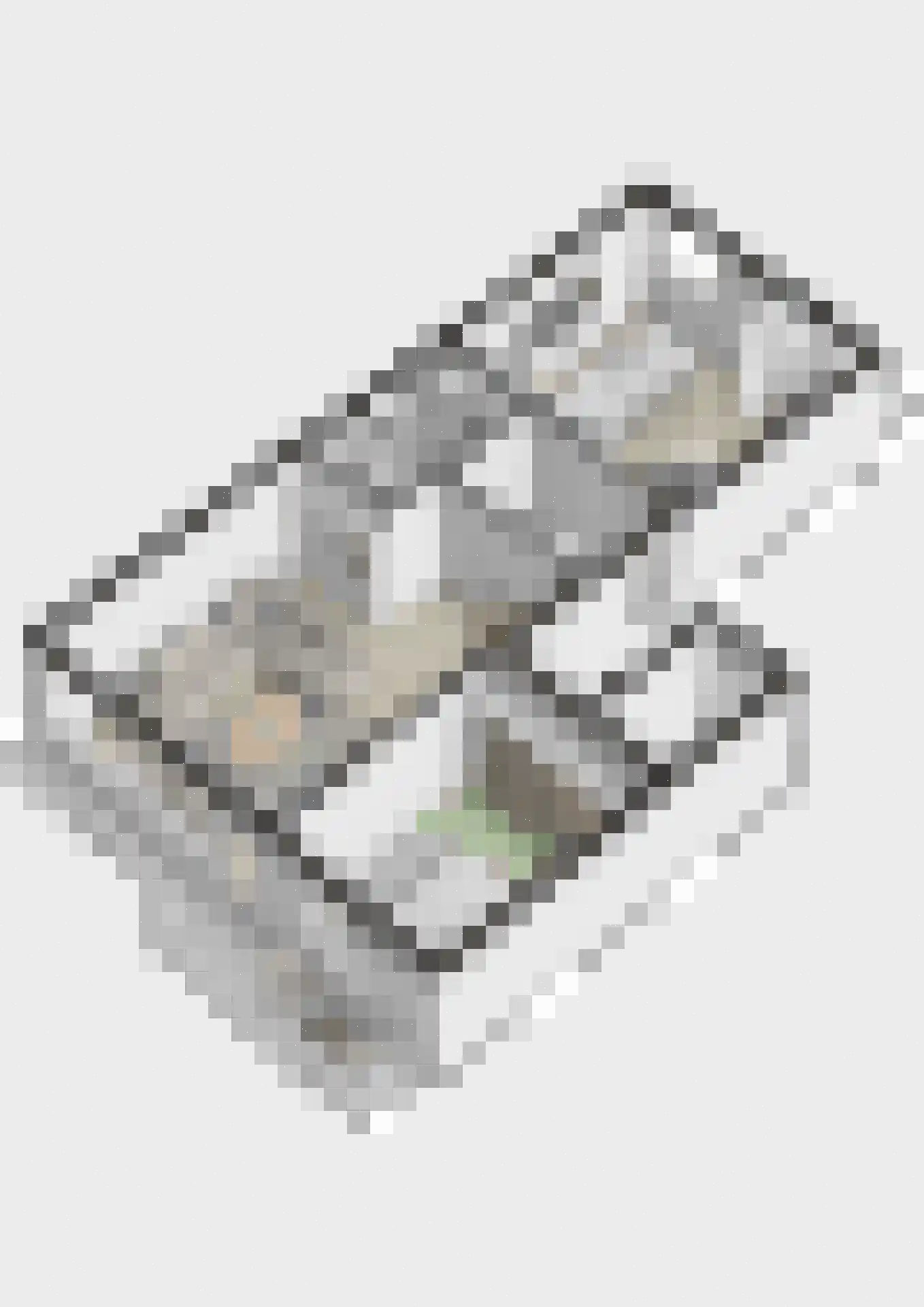 Zwanensingel 128 Velp thumbnail 38