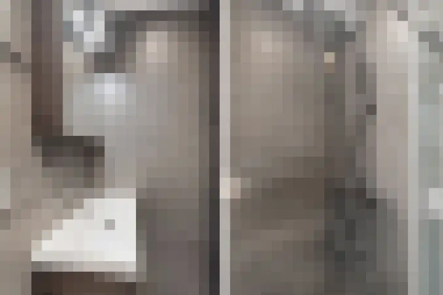 Zwanensingel 128 Velp thumbnail 6