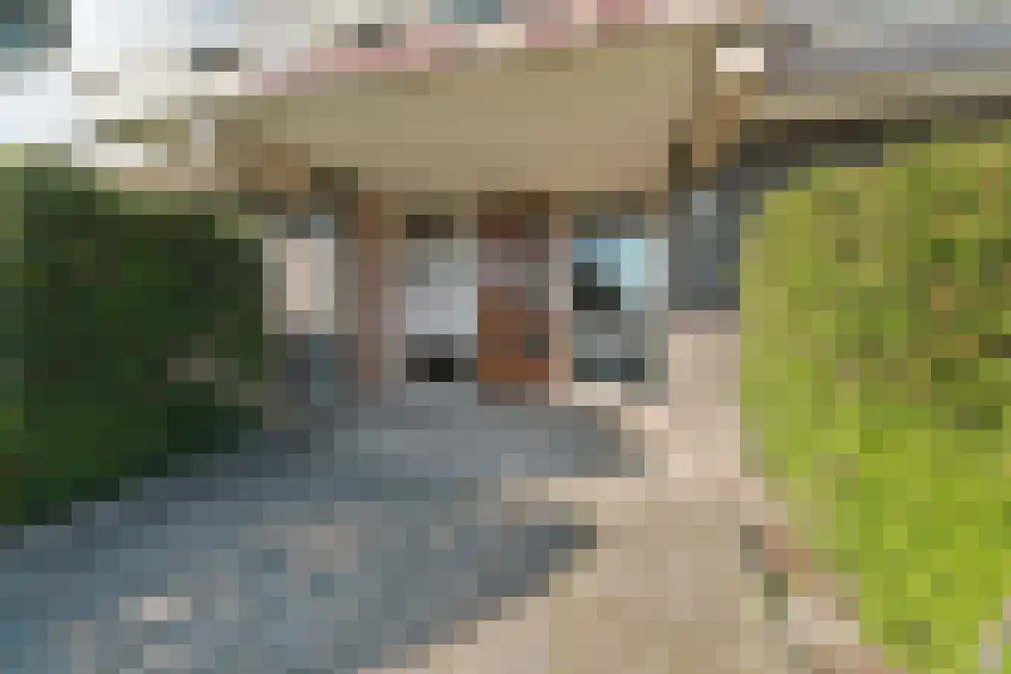 Zwanensingel 128 Velp thumbnail 7