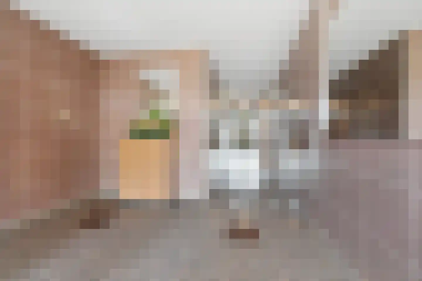 Zwanensingel 128 Velp thumbnail 8