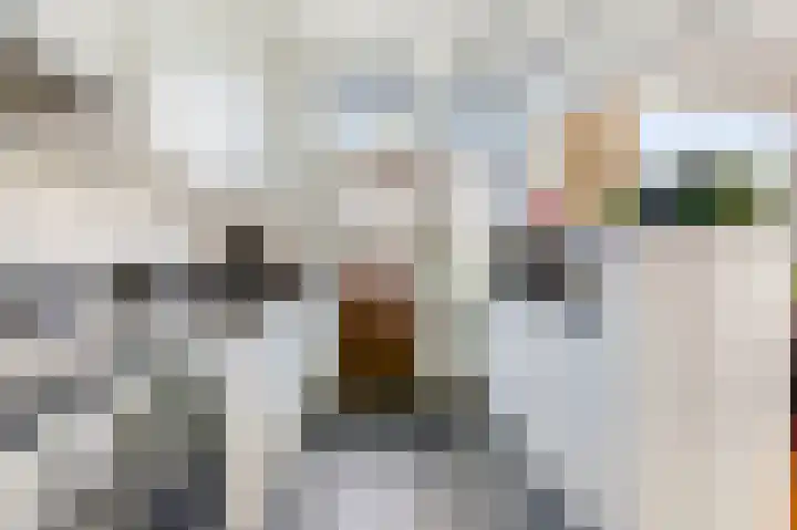 Zwanensingel 154 Velp thumbnail 10