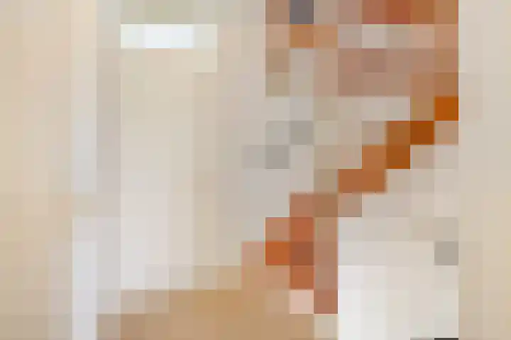 Zwanensingel 154 Velp thumbnail 11