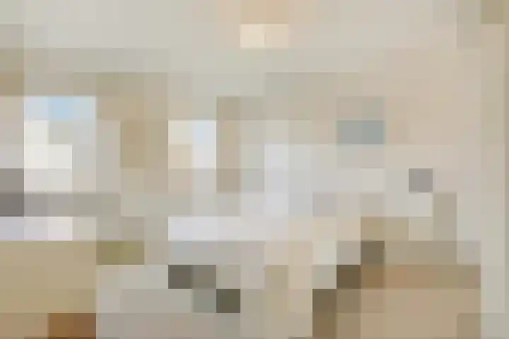 Zwanensingel 154 Velp thumbnail 12