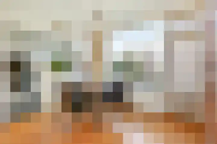 Zwanensingel 154 Velp thumbnail 17