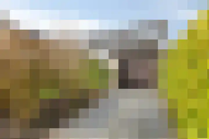 Zwanensingel 154 Velp thumbnail 21