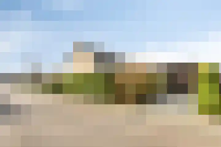 Zwanensingel 154 Velp thumbnail 22