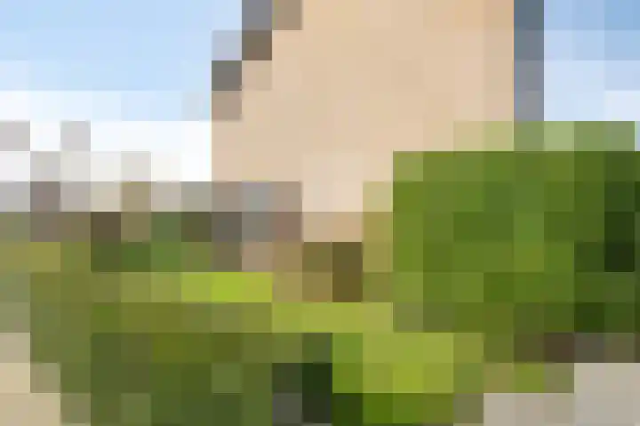 Zwanensingel 154 Velp thumbnail 23