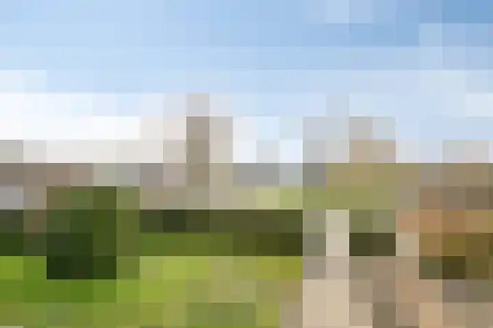 Zwanensingel 154 Velp thumbnail 26