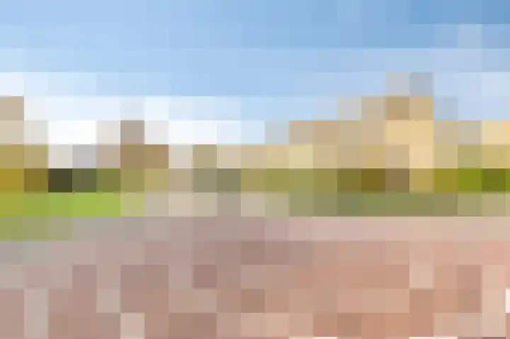 Zwanensingel 154 Velp thumbnail 27