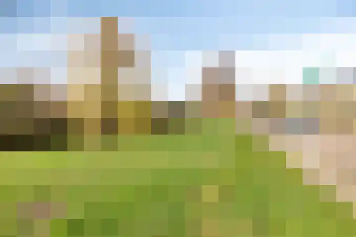 Zwanensingel 154 Velp thumbnail 28