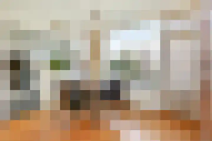 Zwanensingel 154 Velp thumbnail 8