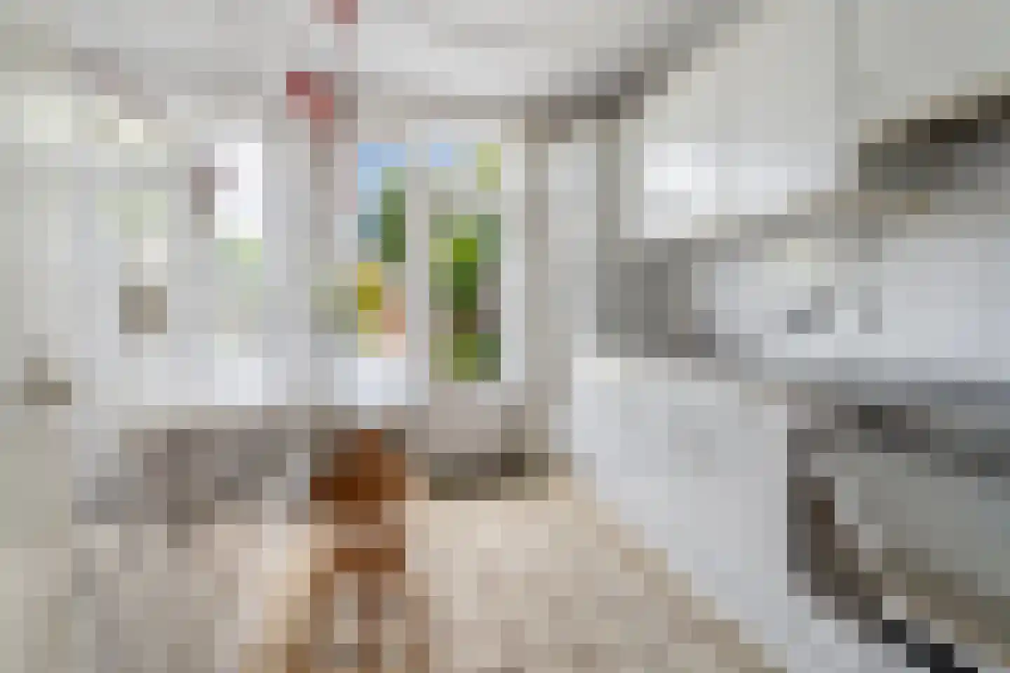 Zwanensingel 162 Velp thumbnail 13