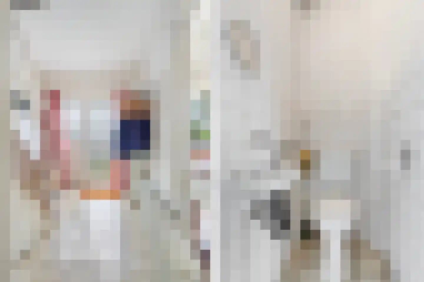 Zwanensingel 162 Velp thumbnail 16
