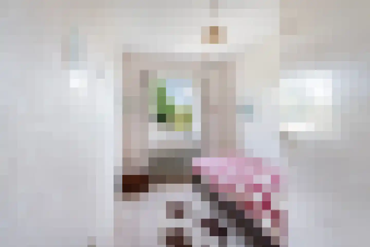 Zwanensingel 162 Velp thumbnail 20