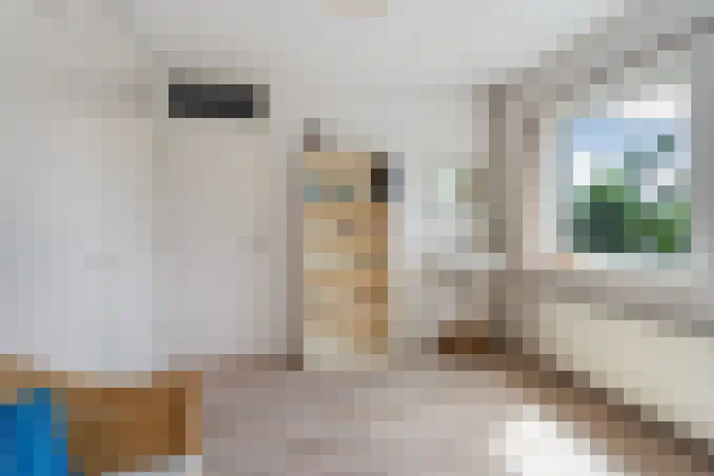 Zwanensingel 162 Velp thumbnail 23