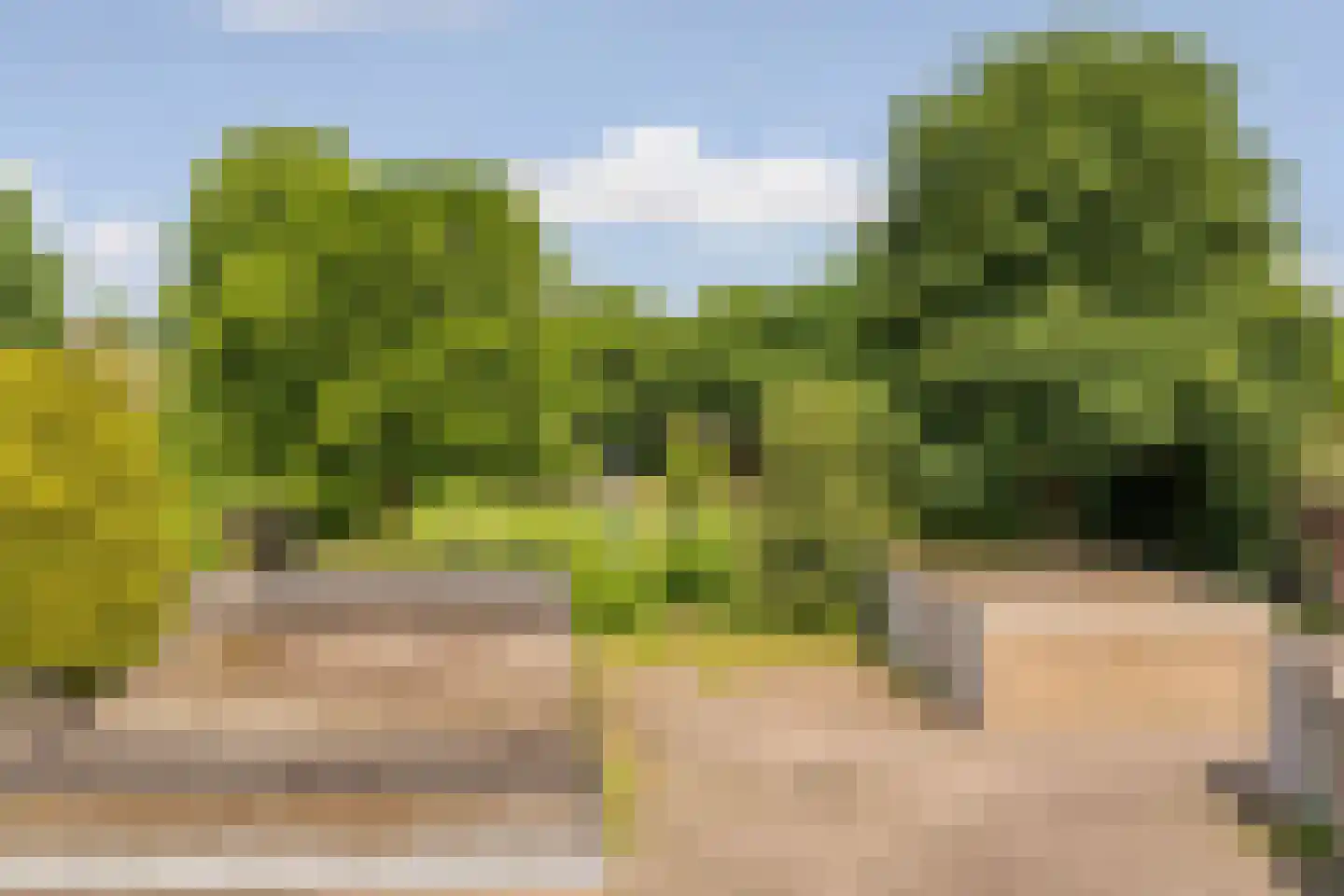 Zwanensingel 162 Velp thumbnail 28