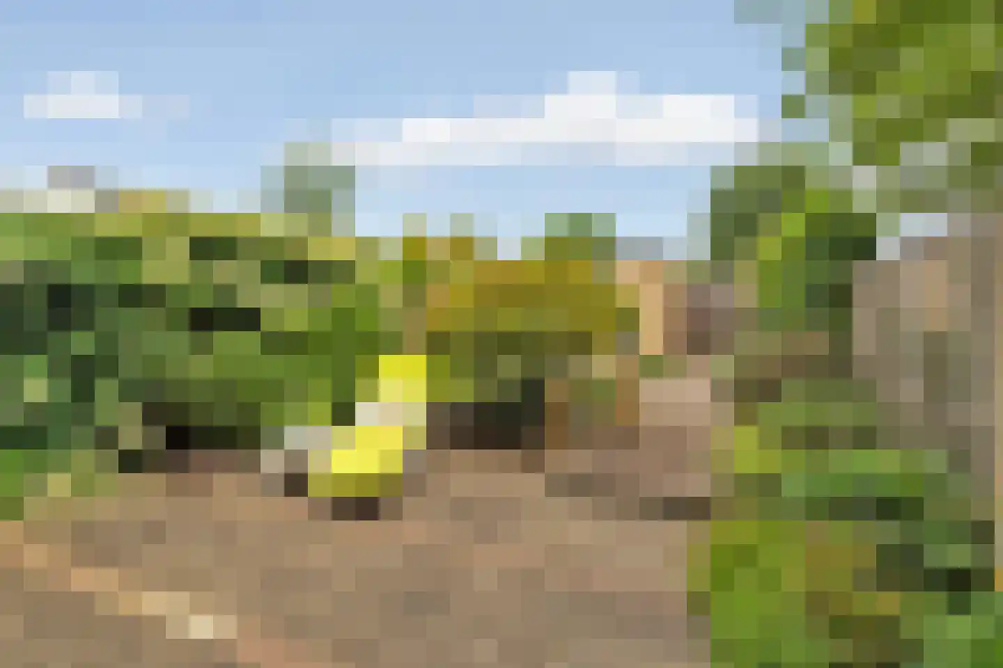 Zwanensingel 162 Velp thumbnail 5
