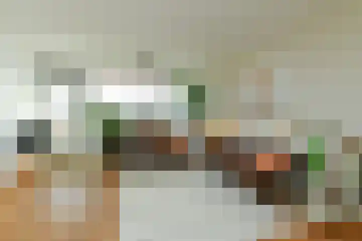 Zwanensingel 196 Velp thumbnail 13