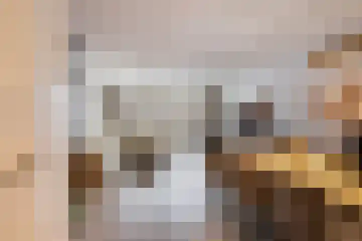Zwanensingel 20 Vlaardingen thumbnail 10