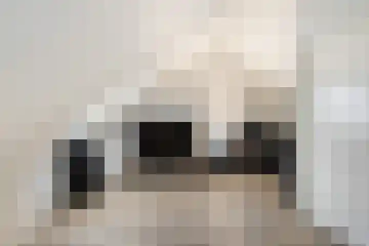 Zwanensingel 20 Vlaardingen thumbnail 31