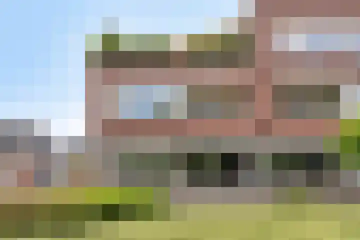 Zwanensingel 212 Velp thumbnail 10