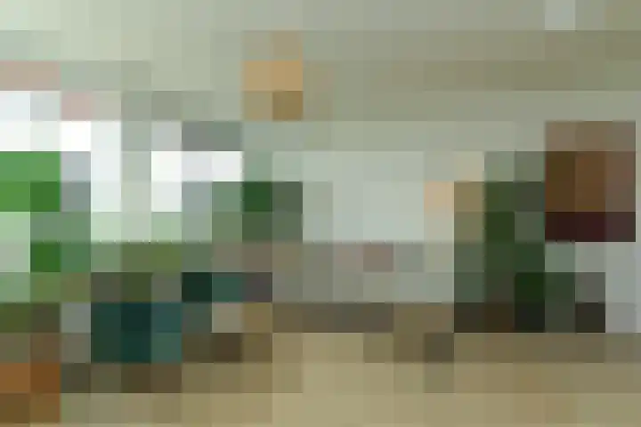 Zwanensingel 212 Velp thumbnail 14