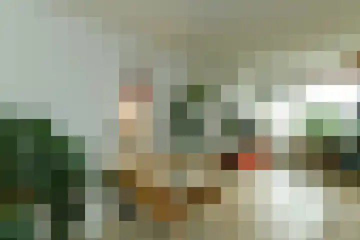 Zwanensingel 212 Velp thumbnail 16