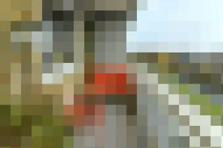 Zwanensingel 212 Velp thumbnail 17