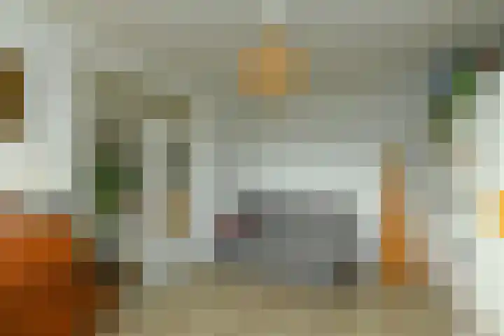 Zwanensingel 212 Velp thumbnail 22