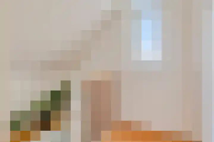 Zwanensingel 212 Velp thumbnail 27