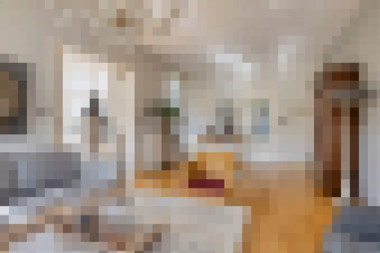 Zwanensingel 212 Velp thumbnail 29