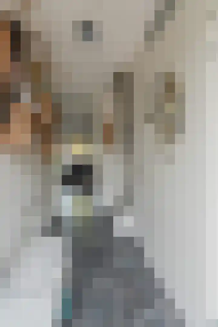 Zwanensingel 212 Velp thumbnail 31