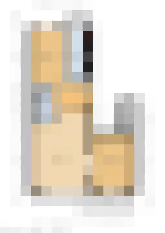 Zwanensingel 212 Velp thumbnail 33