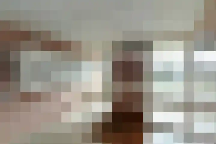 Zwanensingel 212 Velp thumbnail 9