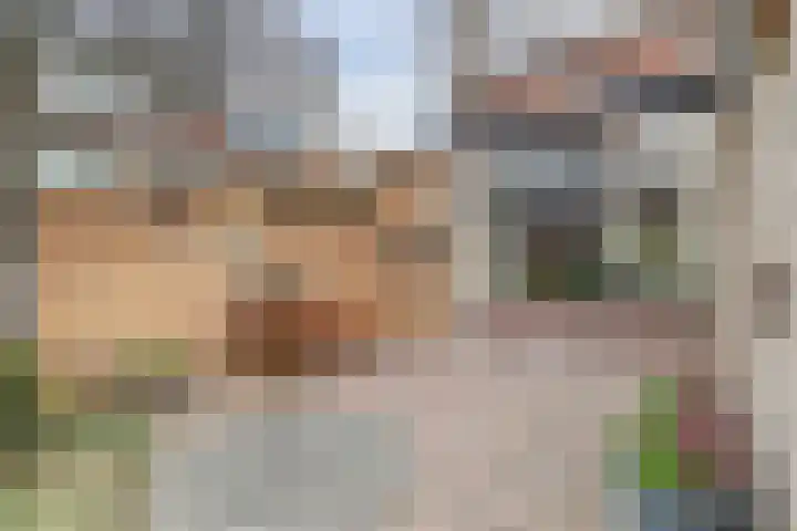 Zwanensingel 283 Wijchen thumbnail 38